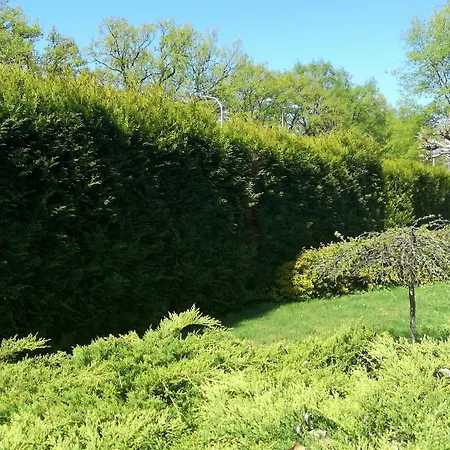 فندق Gem فروتسواف