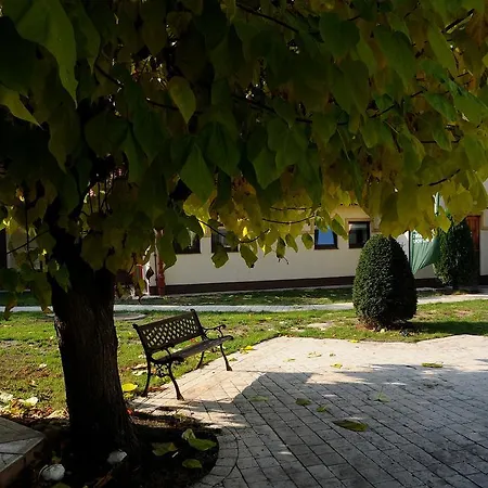 Gem فروتسواف